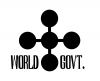 Weltregierung